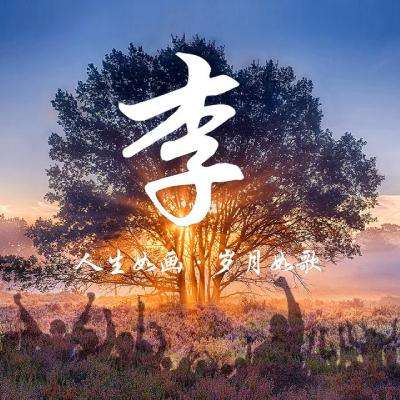 山东发布干部任前公示公告