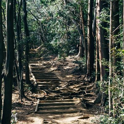 三只羊直播卖 香港美诚月饼 ，一旁曾志伟表情亮了:一脸疑惑，不停的摇头！