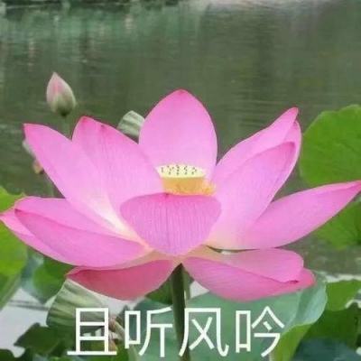 汪苏泷演唱会万人乐在一起