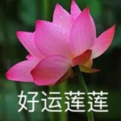 奋力推进新时代语言文字事业高质量发展